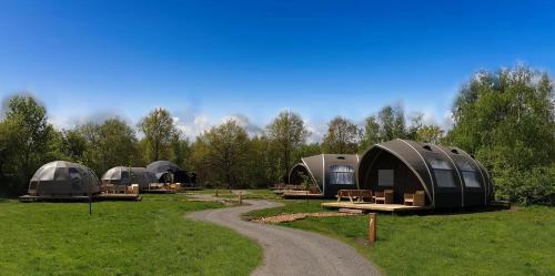 Big Oak - carbon neutral hotel in Unknown City