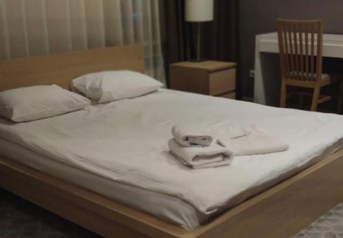 Prestige - carbon neutral hotel in Atyrau