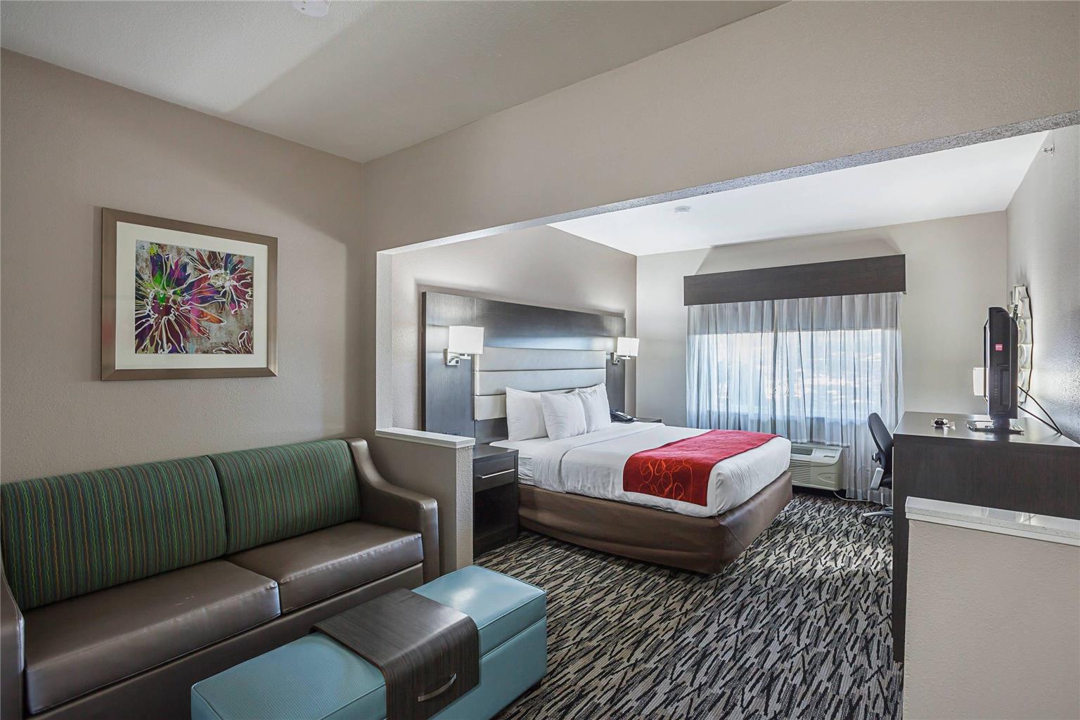 Comfort Suites Lewisville Dallas - photo 14
