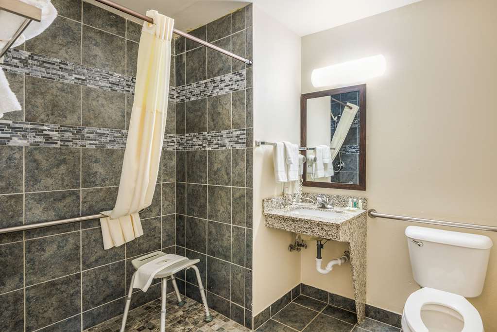 Quality Inn & Suites Eldridge Davenport North - photo 11