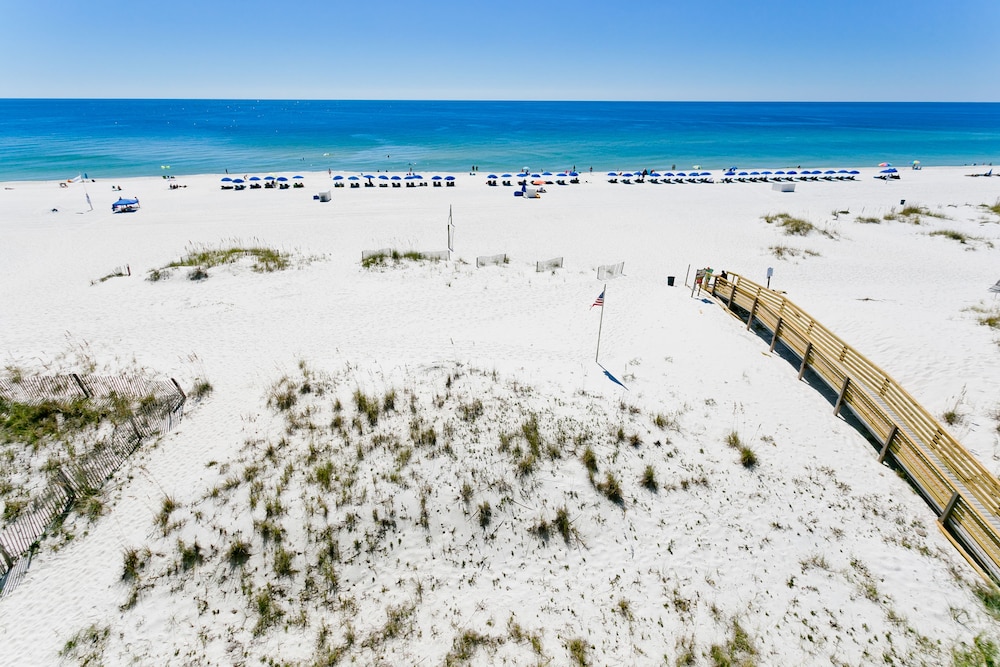 Hilton Garden Inn Orange Beach Beachfront - photo 103