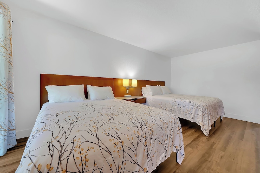 Amador Hotel - photo 7