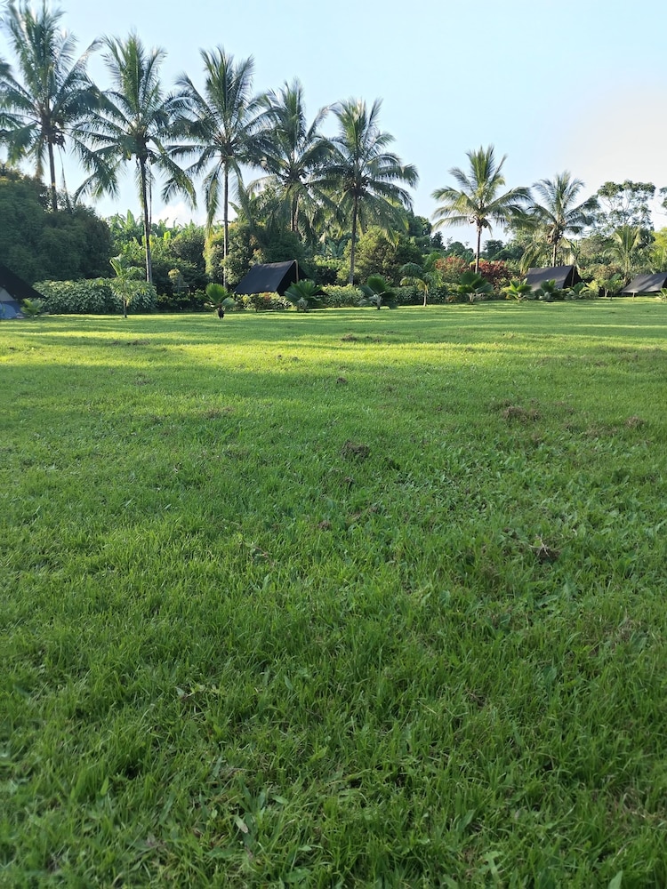 Campo Duro ecolodge — Unknown City — photo 3