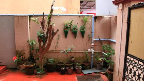 Chackalakkal Home Stay
