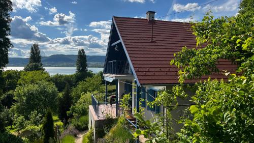 Levendulás in Unknown City, Hungary