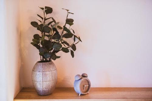 Penzion Castello in Valtice, Czech Republic