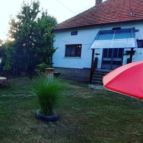 Stefanovića kuća - last minute hotel in Unknown City