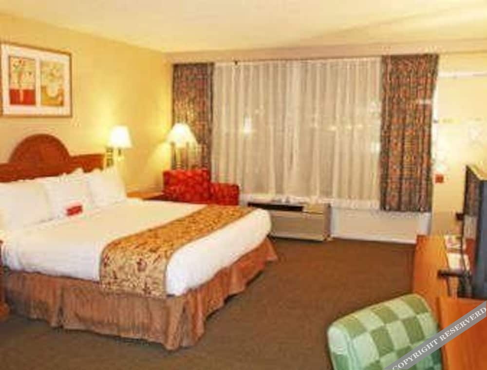 Ramada by Wyndham Asheville Biltmore West - photo 4