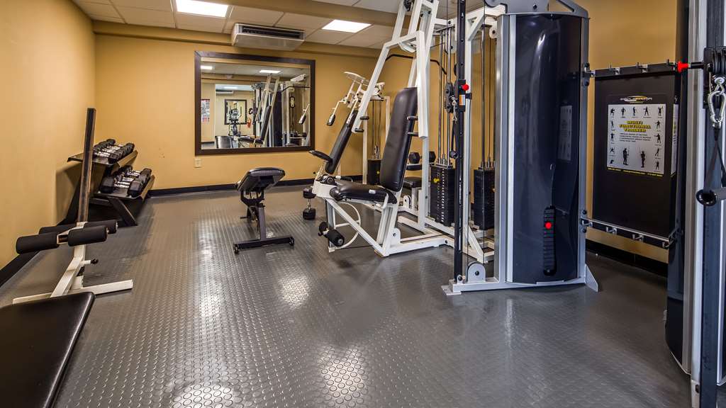 Best Western Plus Atlanta Airport East - photo 6
