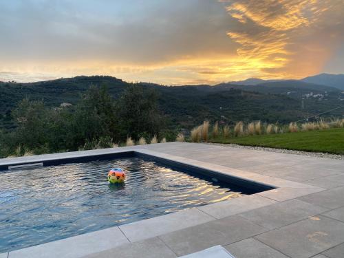 Laserrafelice in Imperia, Italy