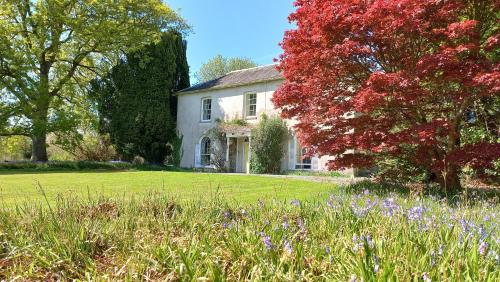 Gelly Dylan Thomas Paradise in Lampeter, United Kingdom