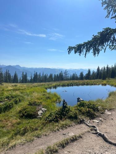 Kohlegghof in Radstadt, Austria