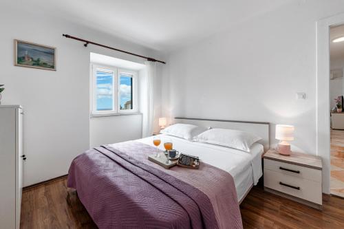 Apartment Viki