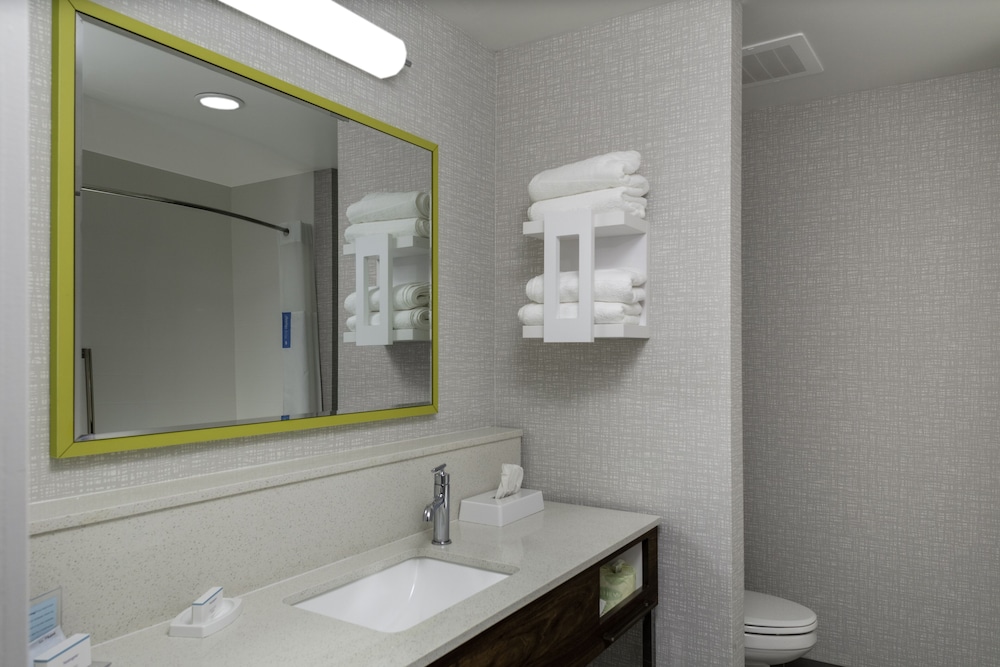 Hampton Inn and Suites by Hilton Indianapolis West Speedway - photo 13