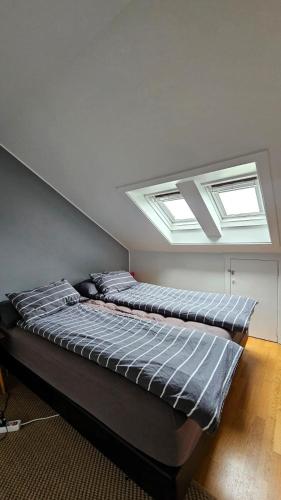 Your Icelandic home in Reykjavik