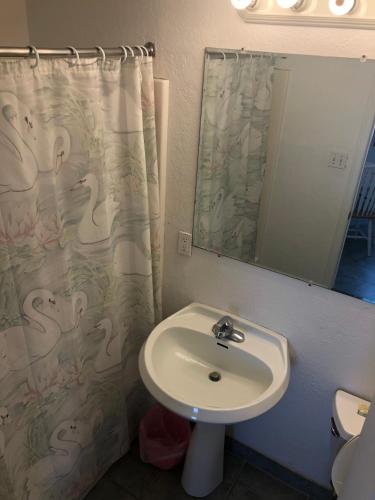 Apollo Resort Motel - photo 68