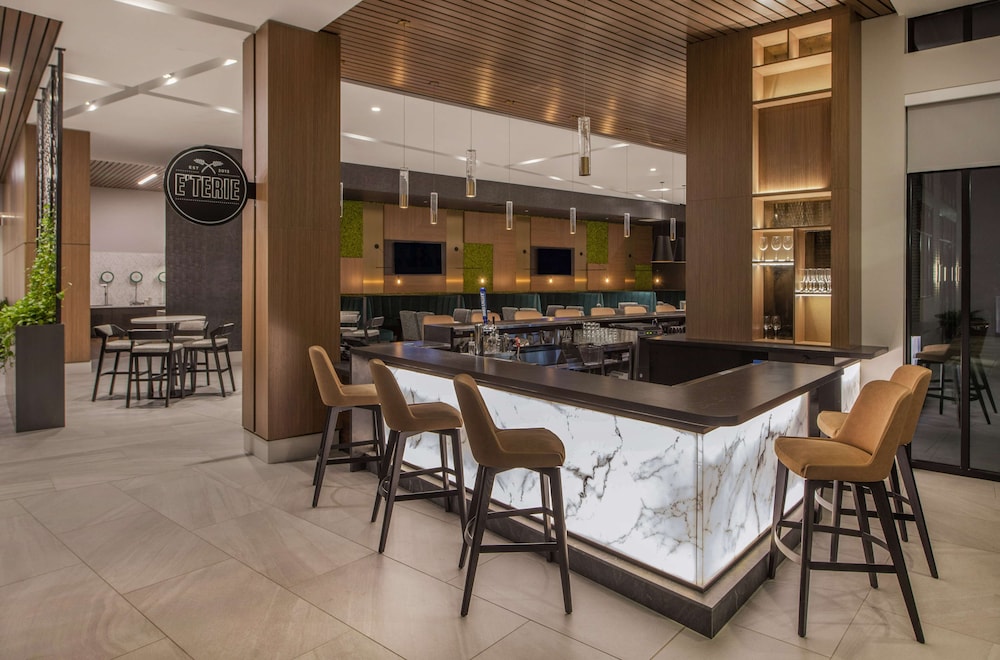 Embassy Suites By Hilton Asheville Downtown - photo 62