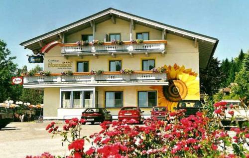Sportpension Sonnhof — hotel in Taxenbach