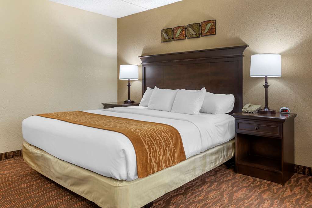 Comfort Inn at Thousand Hills - photo 5