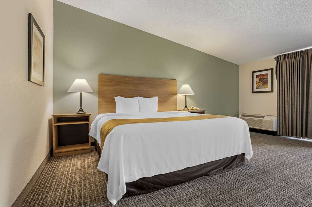 Quality Inn & Suites NRG Park Medical Center - photo 22