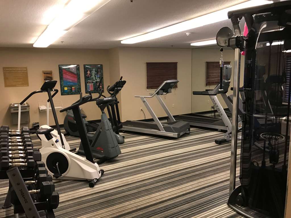 Sonesta Simply Suites Naperville Warrenville - photo 23