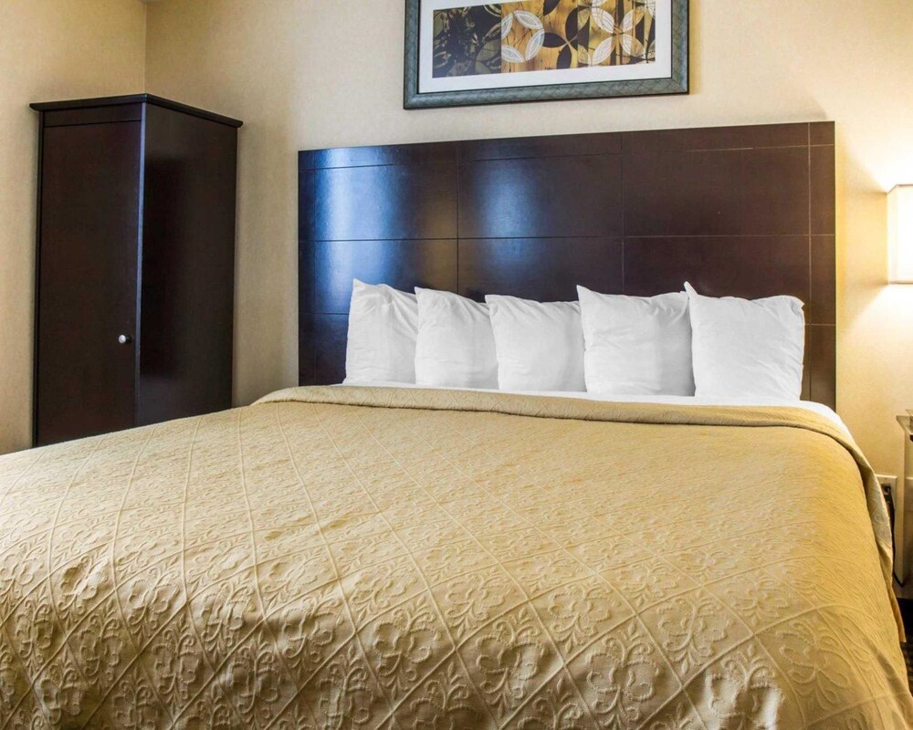 Quality Inn Woodside - photo 19