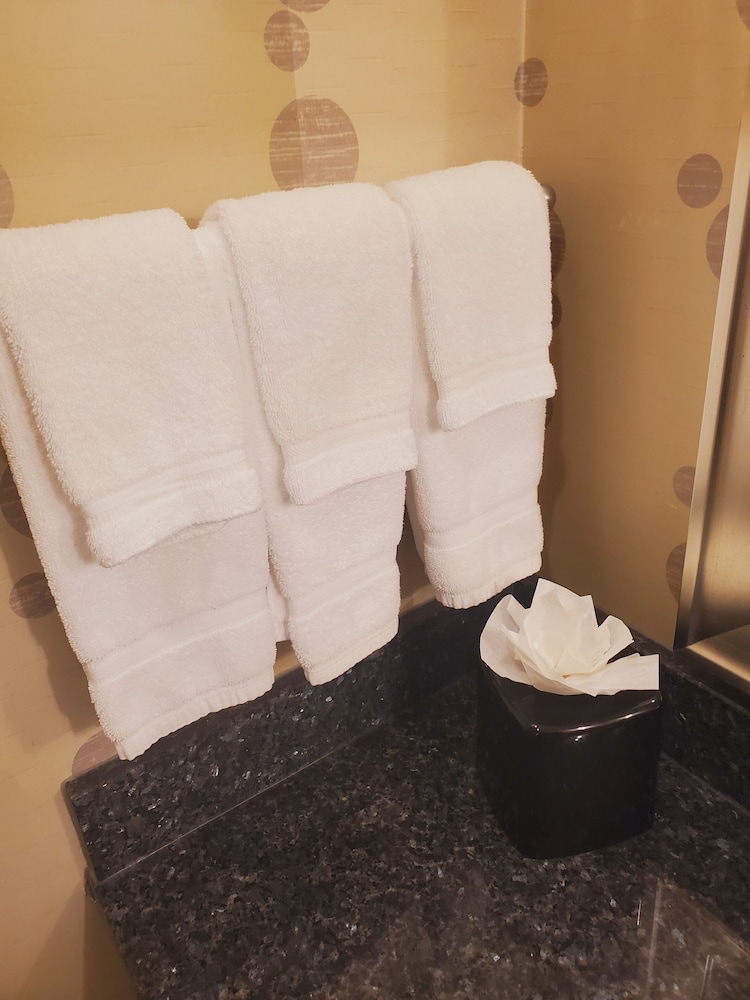 Hilton Garden Inn Fort Worth Alliance Airport - photo 18