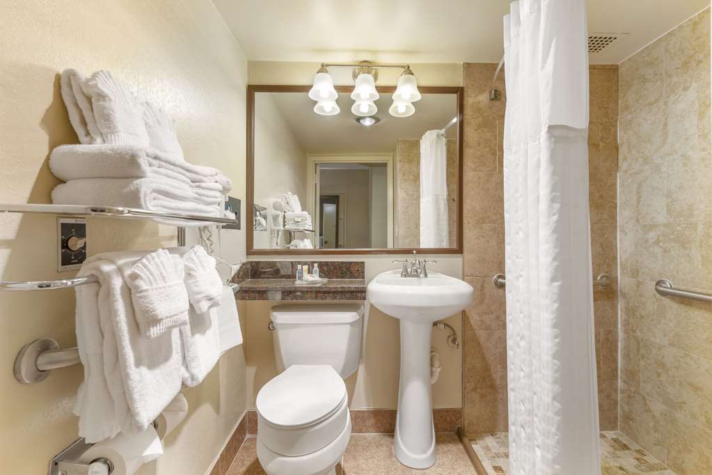 Comfort Inn University Center - photo 27