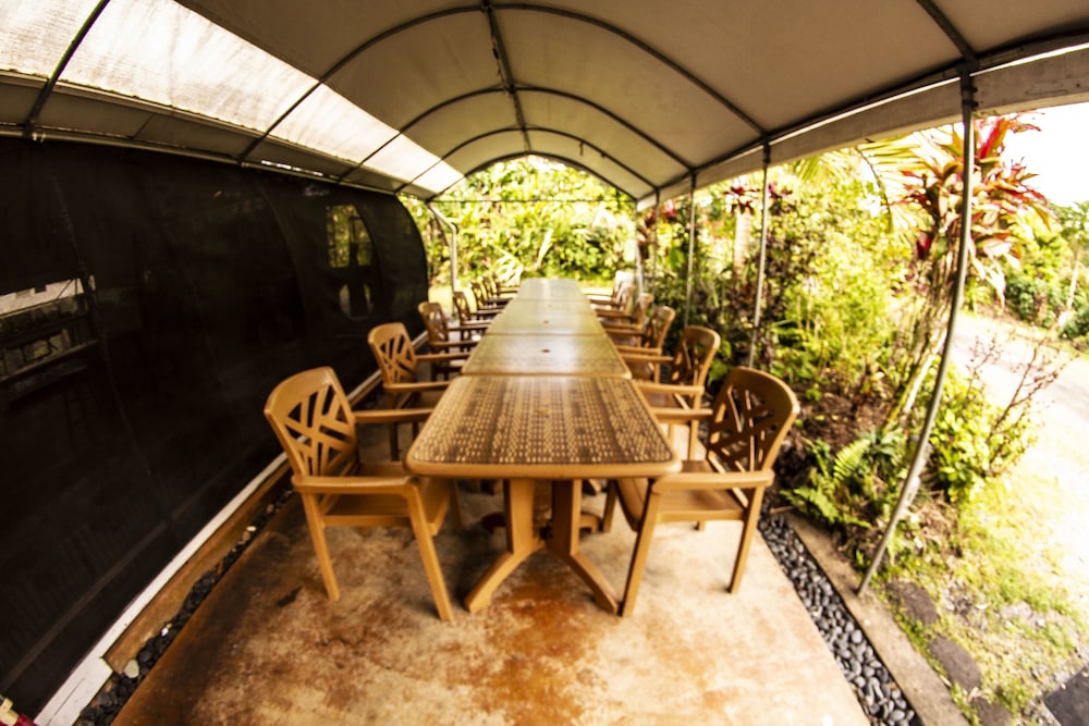 Hawaiian Sanctuary - photo 40