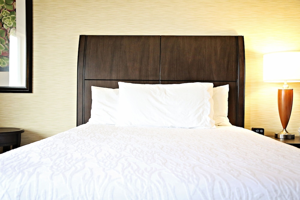 Hilton Garden Inn St. George - photo 10
