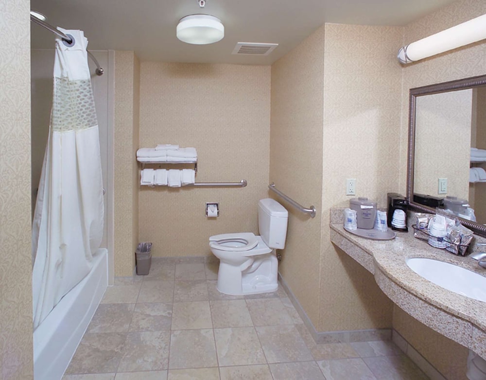 Hampton Inn Schenectady Downtown - photo 24