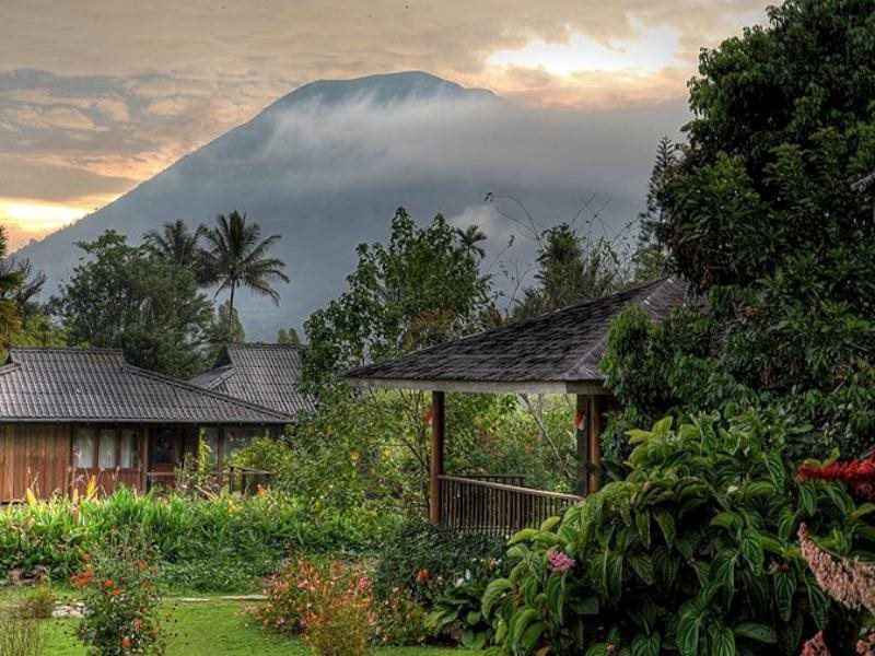 Gardenia Country Inn — Tomohon