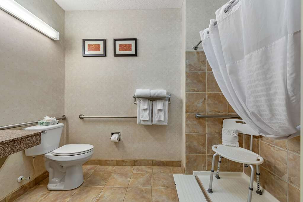 Comfort Suites Castle Rock - photo 14