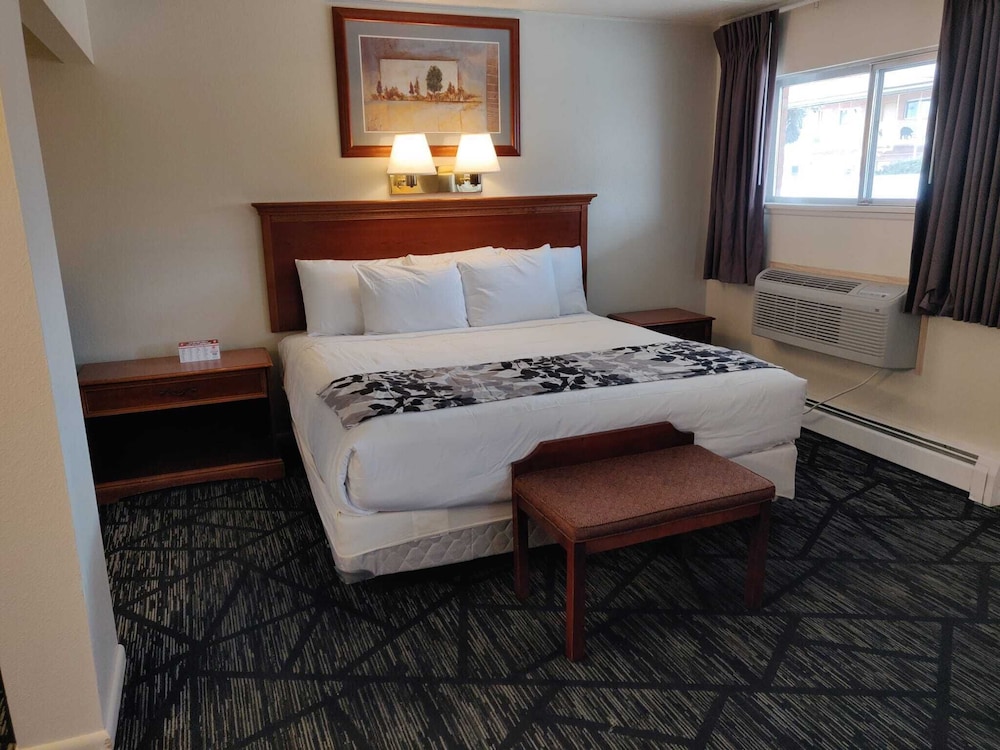 Skyline Motor Inn - photo 8