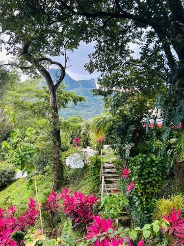 Guest house in Altos del Maria — 4-Star Luxury Hotel in Sora, Panama