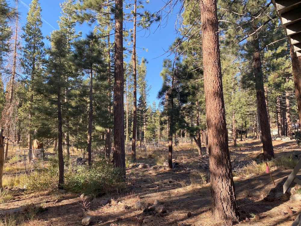 Cinnamon Bear Inn - photo 83