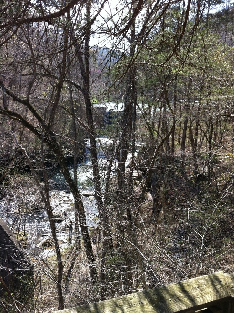 Ozark Country Inn - photo 39