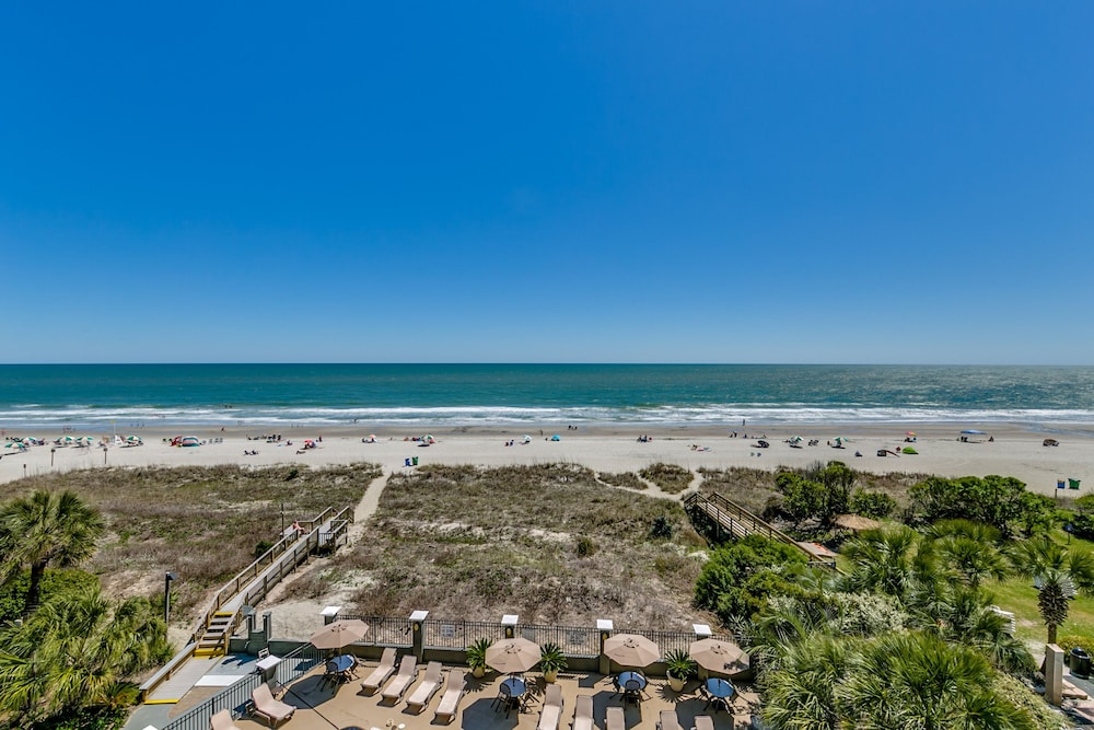 Carolina Dunes - photo 36