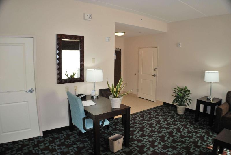 Hampton Inn & Suites Nashville @ Opryland - photo 44