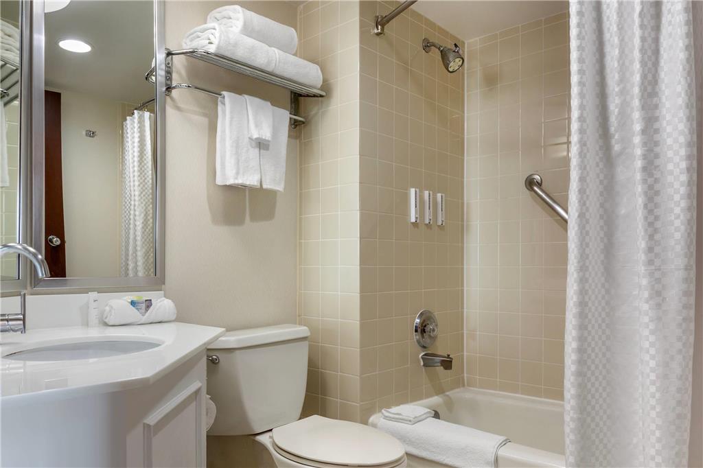 Radisson Hotel Detroit Metro Airport - photo 25