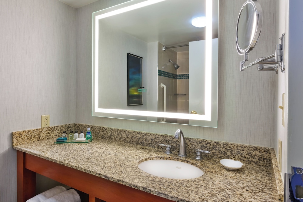 Crowne Plaza Dulles Airport by IHG - photo 62