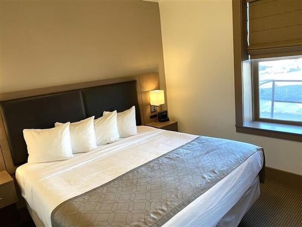 Hotel Arvon - photo 31