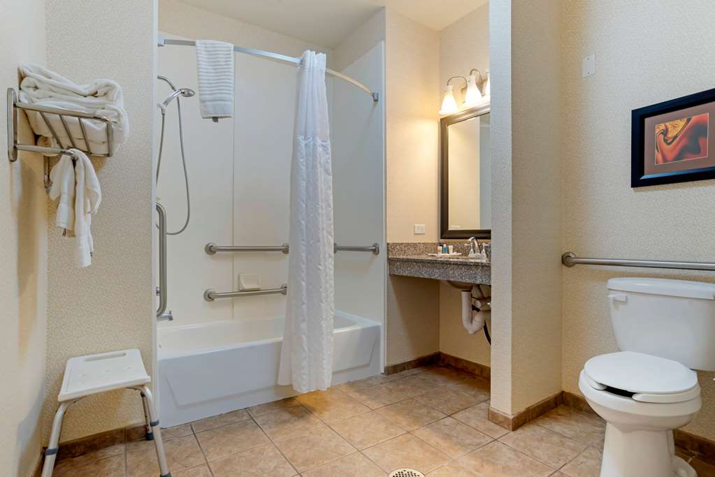 Comfort Suites Alexandria North - photo 22
