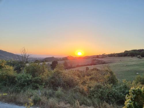 Podere Vecci — Dicomano — photo 3
