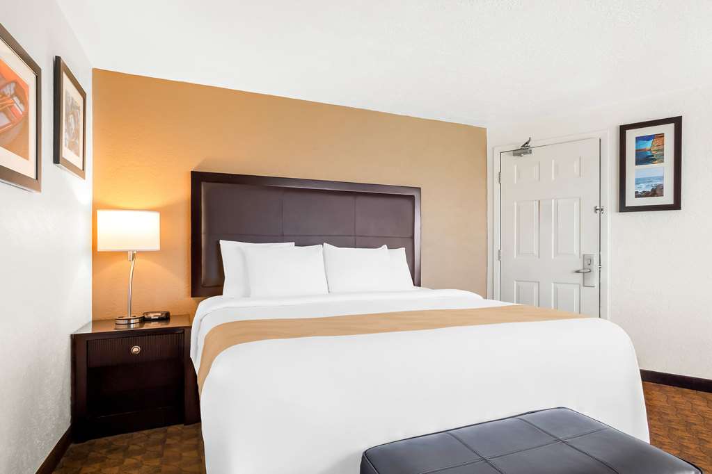 Quality Inn Port Angeles near Olympic National Park - photo 12
