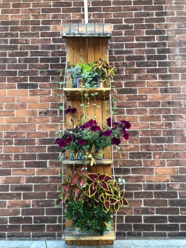 Loyalist Lofts — 4-Star Luxury Hotel in Picton, Canada