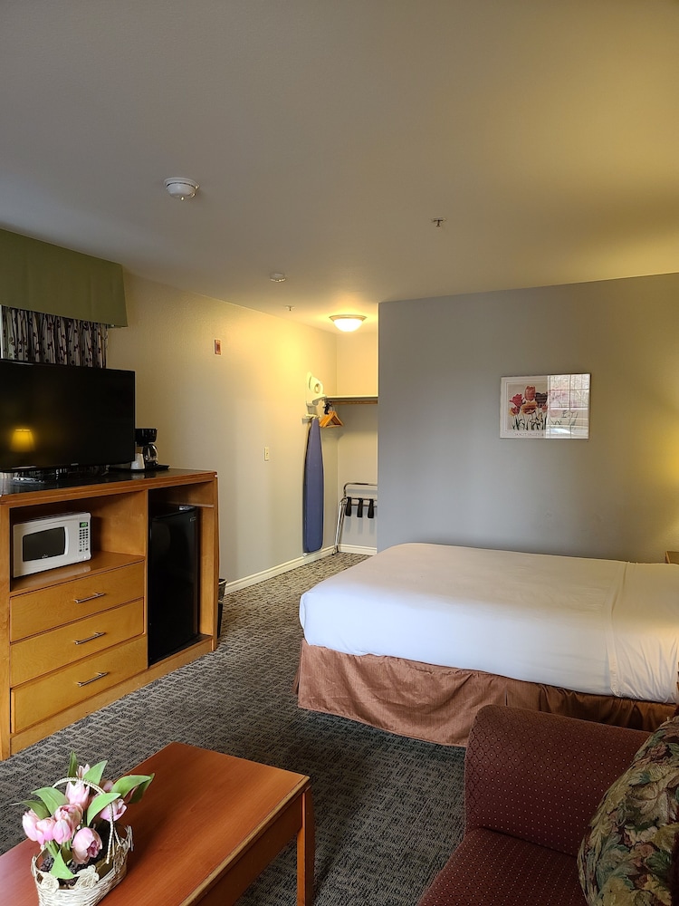 Tulip Inn - photo 10