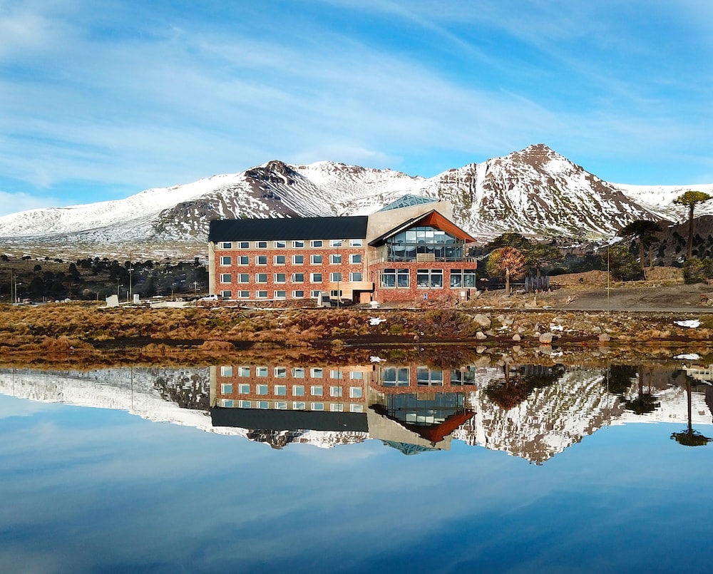 Ignea Hotel - carbon neutral hotel in Unknown City