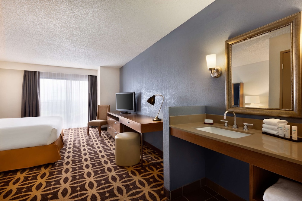 Embassy Suites by Hilton Dallas DFW Airport South - photo 10