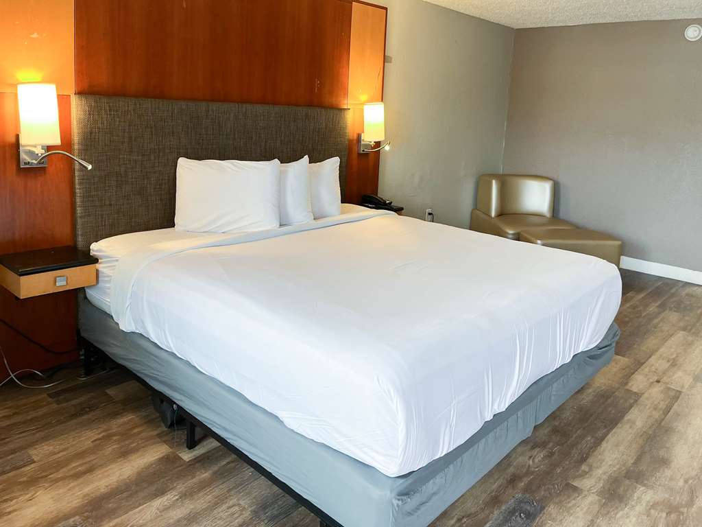 Motel 6 New Port Richey FL - photo 13